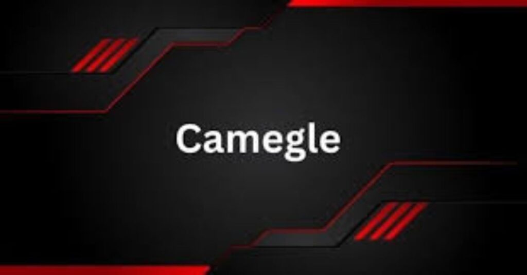 Camegle: The Digital Frontier of Anonymous Conversations